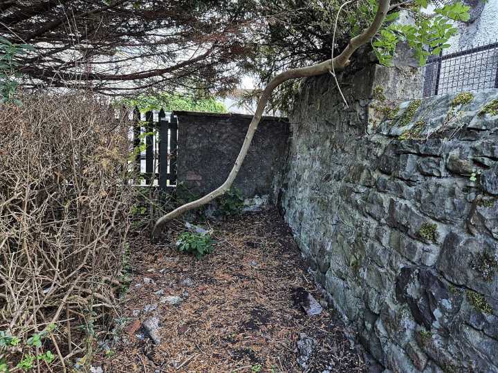 City council to be quizzed over 'stopped