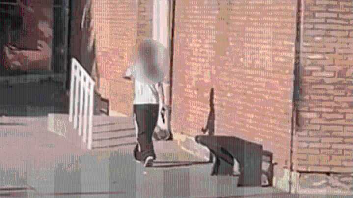 Conmoción en Mendoza por una alumna que se atrincheró en una escuela