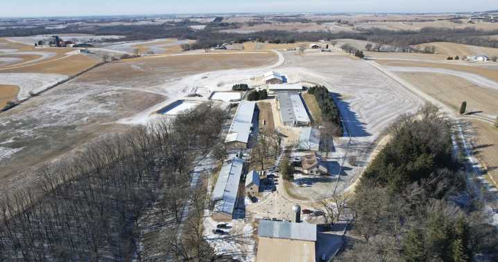 Lead veterinarian at Ridglan Farms sees license suspended