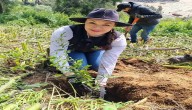 Amecameca reforesta el Cerro del Sacromonte