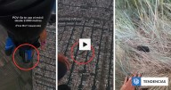 Estaba en modo avión: su celular cayó desde un paracaídas a 1.500 metros de altura y resultó intacto