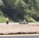 Militar arriesga su vida para neutralizar ‘Cilindro Bomba’ en la vía Panamericana, Cauca