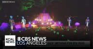 Night of the Jack kicks off its 8th season this weekend