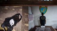 Cientos de ketes de droga hallan en las orillas del río
