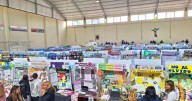 Conocé los proyectos que pasaron a la instancia nacional en la Feria de Ciencias