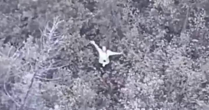 Survival Show Becomes Reality After Contestant Goes Missing in Forest
