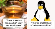47 Interesting Things People Didn’t Learn At School And Decided To Share Them In This Online Group