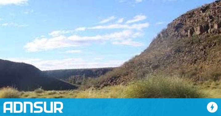Un cóndor andino murió envenenado en la Patagonia: denuncian uso ilegal de agroquímicos