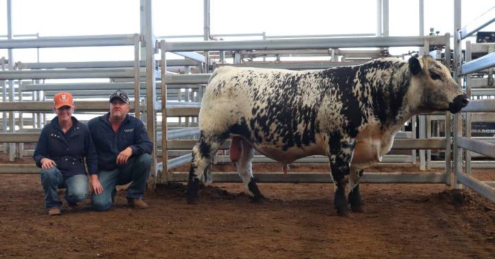 Inaugural Spring into Speckles sale 2025 results