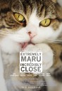 Legendary internet cat has passed away