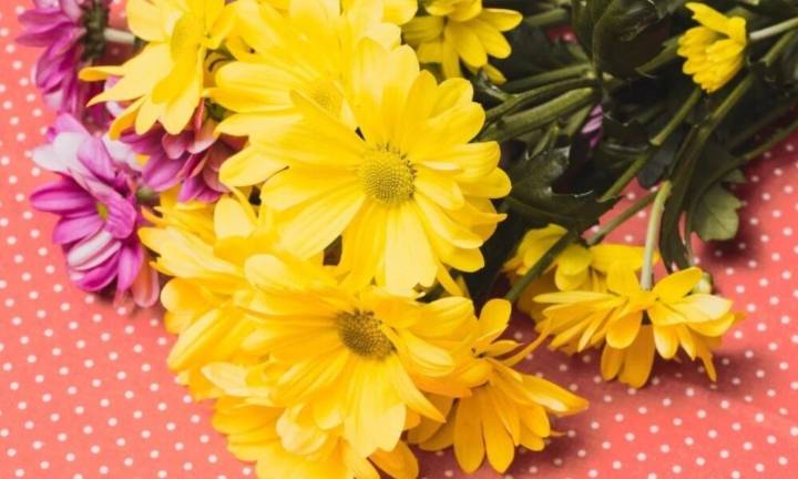 Conoce el origen de regalar flores amarillas cada 21 de septiembre