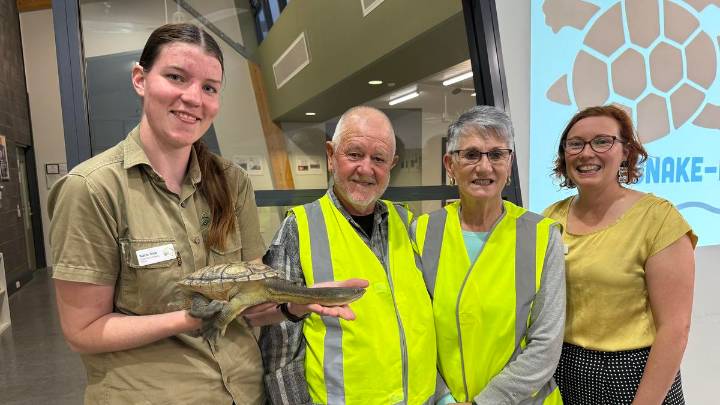 Turtle Tracker: City of Cockburn providing information sessions to learn how to protect local wildlife