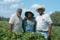  Highs and Lows on the Family Farm