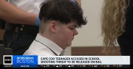 Teen sat in his room with gun-making 3D printer and plotted to 'shoot up a school': Police