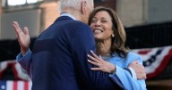 Allowing 2024 Biden candidacy was recklessness: Harris