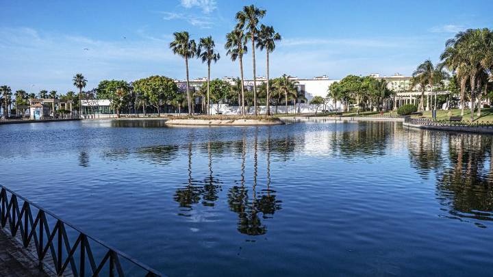 El Ayuntamiento cierra el Parque de Huelin por un posible caso de gripe aviar