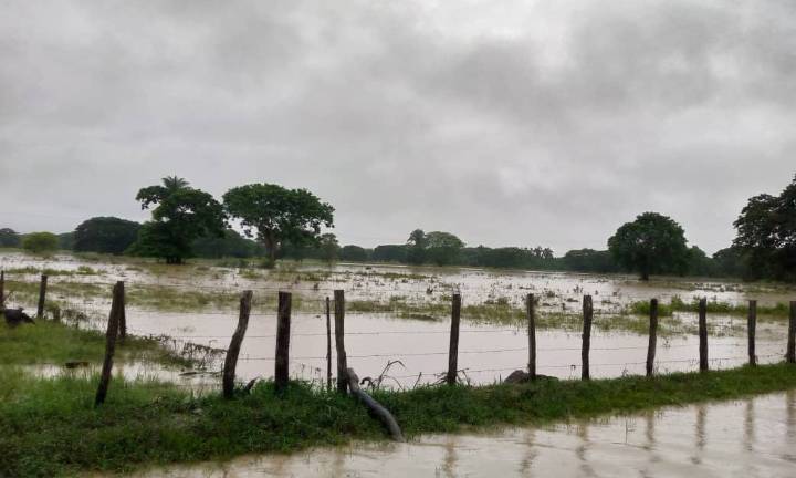 Fegabarinas pide al Estado cuantificar daños y coordinar plan de recuperación tras lluvias
