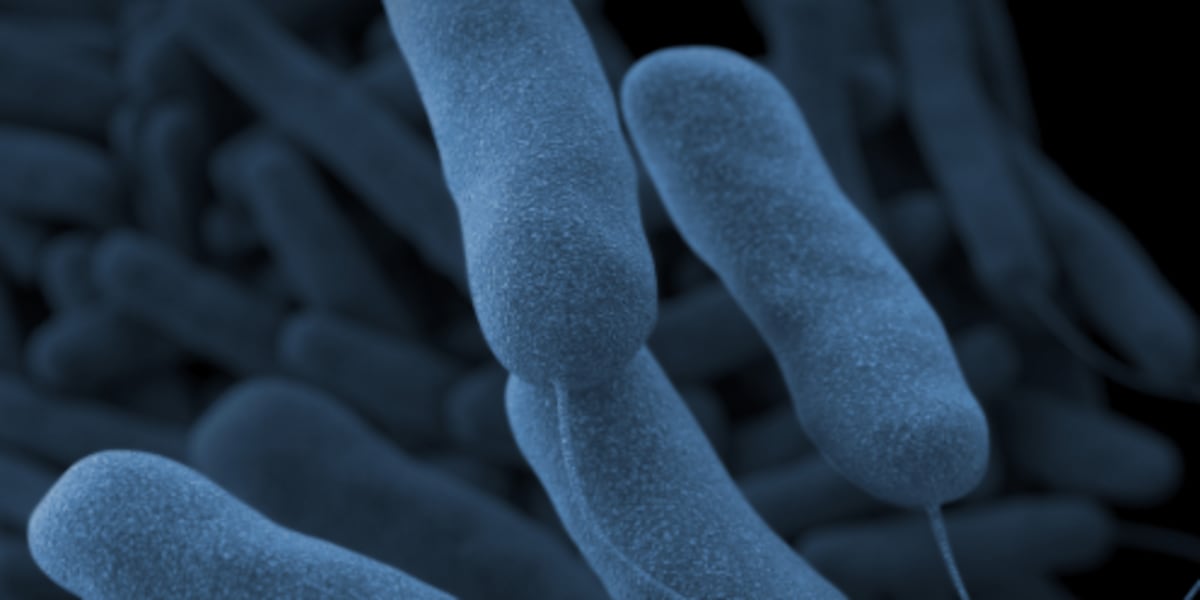HHS confirms another death linked to Legionnaires’ disease in central Iowa