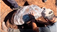 Tras ocho horas de trabajos, extrajeron los restos del gliptodonte de Colonia Avelina