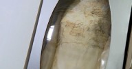 Restored dress gives family a thread of hope after losing 11 relatives to Helene