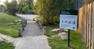 South London park to see football pitch repairs and new playground equipment as plans shared