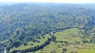 Corantioquia y Cemex hacen alianza para proteger especies en peligro de extinción en el río Alicante