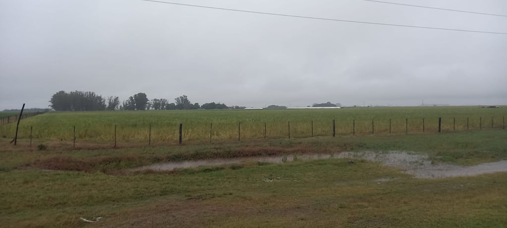 Lluvias normales y temperaturas más cálidas marcarán la primavera en el campo