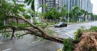 Met Office explains how typhoons form as Super Typhoon Ragasa sweeps across Asia