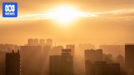 Quarter of heatwaves this century 'virtually impossible' without climate change, study finds