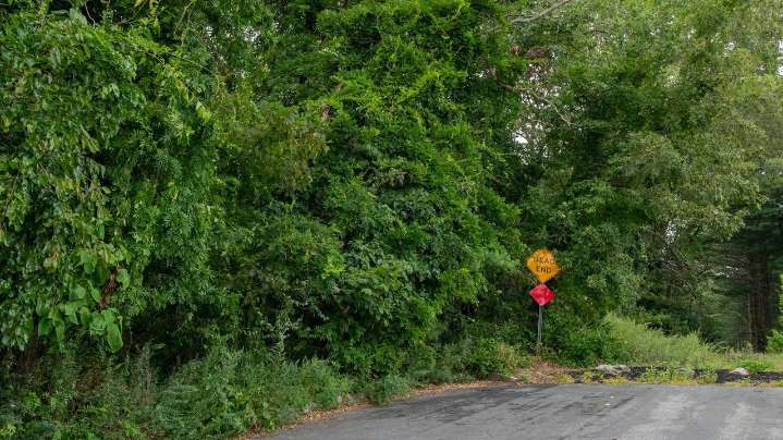 Residents oppose subdivision plan in Nesconset
