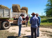 En Castelli, asistieron a productores locales con la entrega de pasturas
