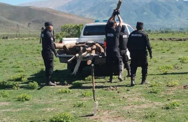 Restitución de tierras usurpadas: el gobierno espera llegar a las mil hectáreas antes de fin de año