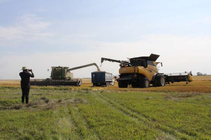 Touch 'n Go turns to gratitude at the Fairfax Field with 81 bu/acre for BMW Foodgrains Project