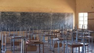 Cuando el miedo entra a la escuela, el aprendizaje desaparece