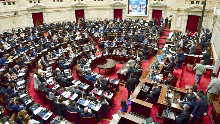 Diputados: están los votos para rechazar el veto por el Garrahan pero no por las universidades