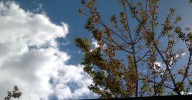 Las temperaturas estables pero en ascenso marcan este domingo en toda la Península