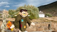 Park City’s Scarecrow Festival is just a month away