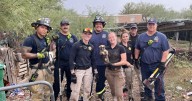 Heroic Tucson rescue: Fire crew saves puppies under RV