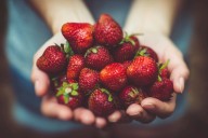 El mayor estudio sobre alimentación sostenible lo confirma: la proteína vegetal gana la partida