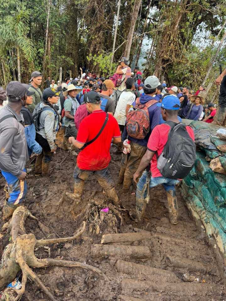 72 soldados habrían sido secuestrados en El Tambo, Cauca, en medio de operaciones militares