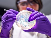Canada updates list of superbugs posing greatest threat to Canadians