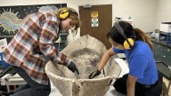 Ancient canoe found in Florida linked to region beyond U…