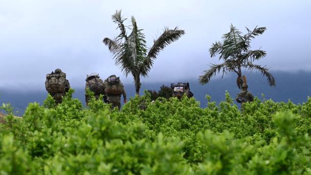 Colombia se prepara para posible pérdida de certificación en lucha antidrogas por parte de EEUU