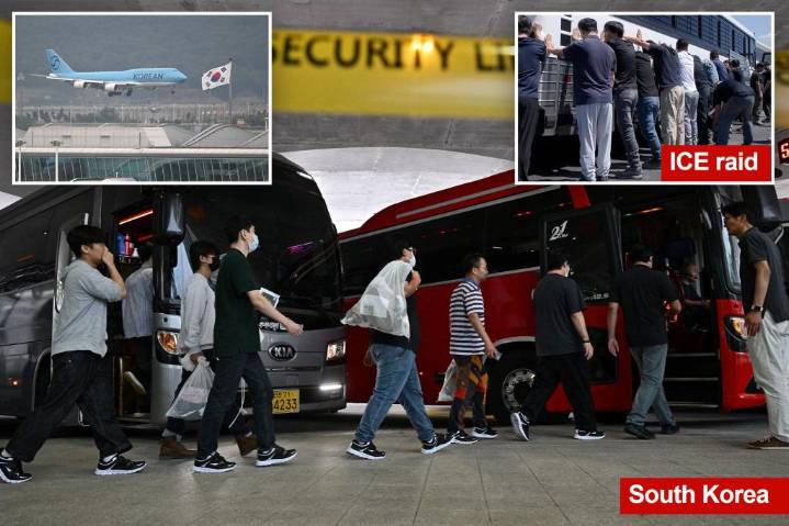 South Korean workers released after days of detention in Georgia return home