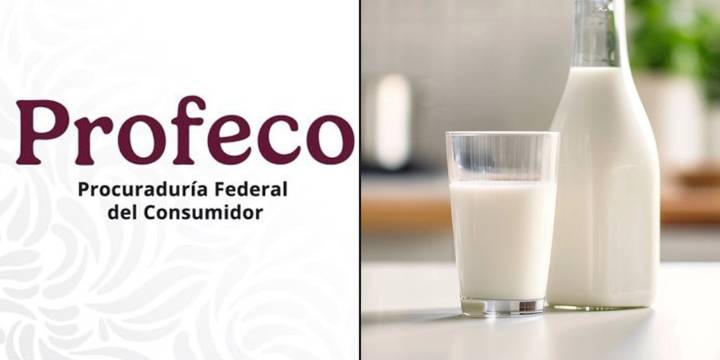 Estas son las leches que sí cumplen, según la Profeco