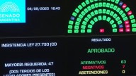 Duro golpe al oficialismo: el Senado rechazó el veto a la emergencia en Discapacidad