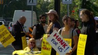 BCGEU strike continues with BC Greens support