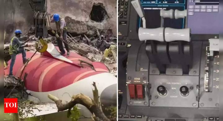 Ahmedabad plane crash: Air India victims' kin sue Boeing, Honeywell; blame fuel cutoff switches that FAA cleared as 'safe'