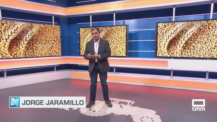 El campo - 15/09/2025