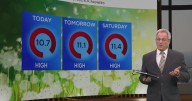 Pollen count remains high across DFW